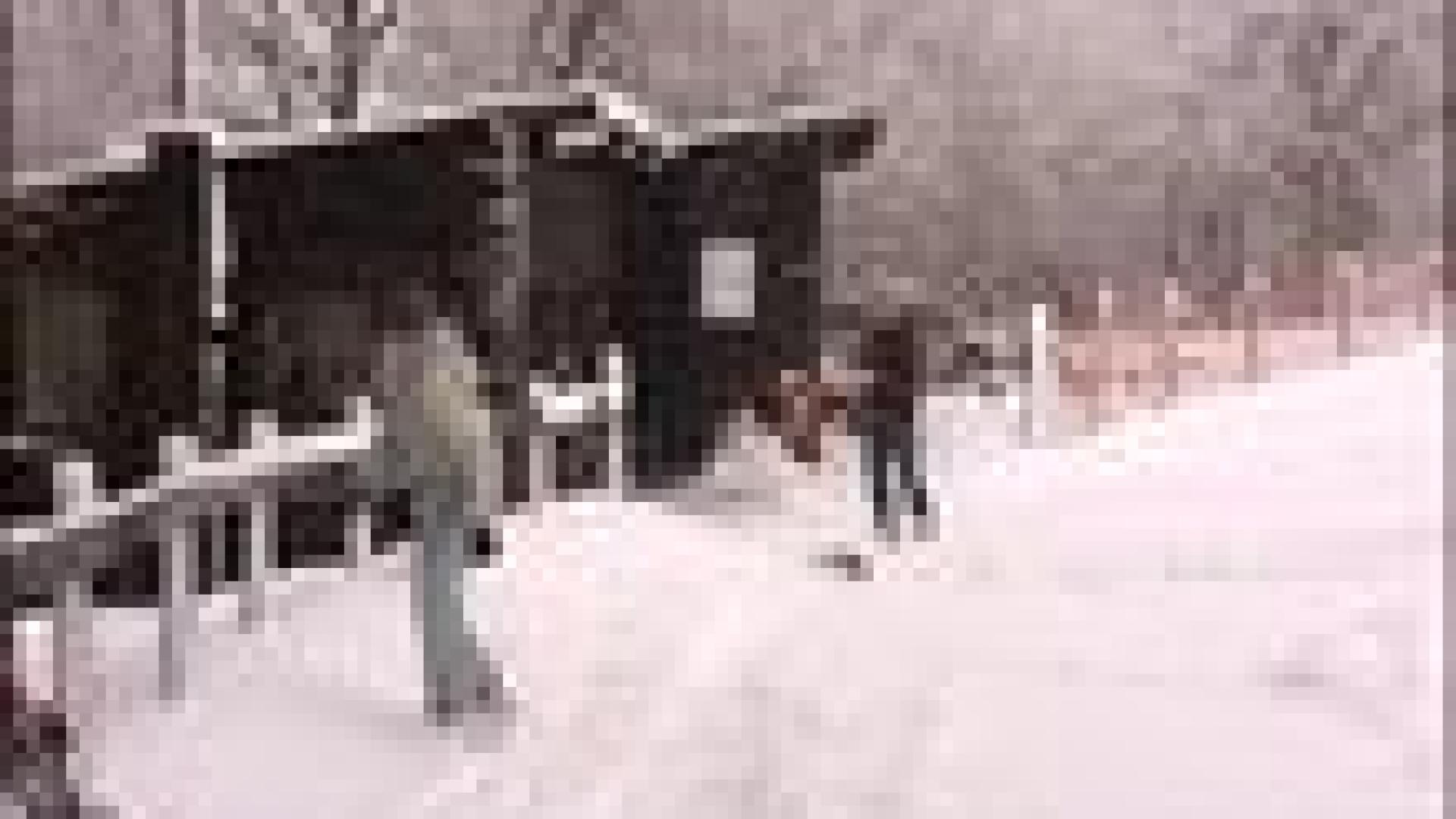 Plaisirs de la neige